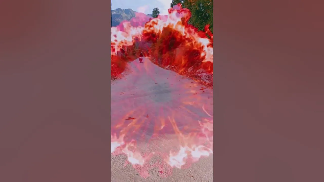 50096 diecast n250 display