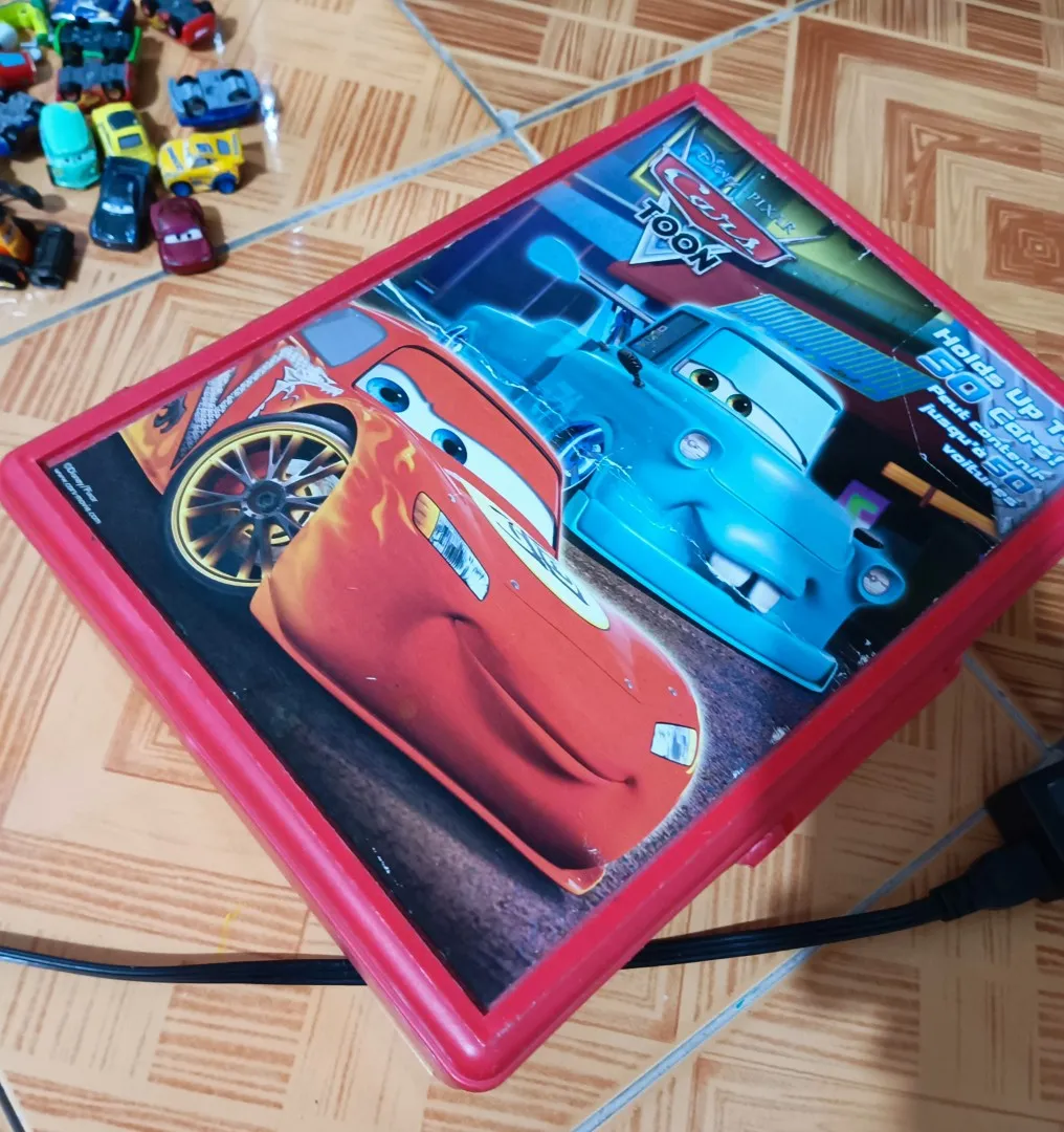 50225 cruz ramirez tomica